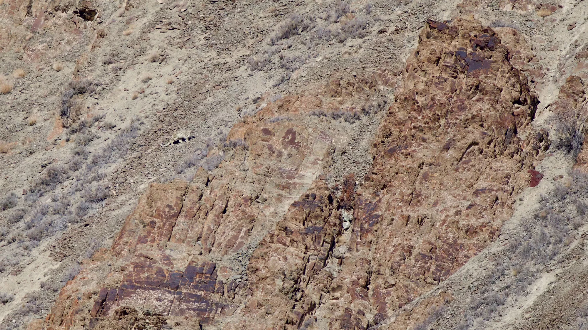 Portfolio/Ladakh/Photos/07_Z9A3530 copie.webp